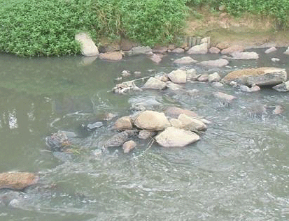 景觀水體、湖泊等生態(tài)修復方案